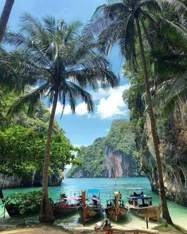 Phi Phi Islands